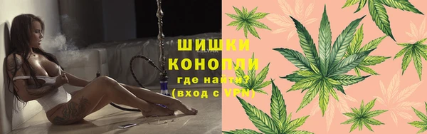 ПСИЛОЦИБИНОВЫЕ ГРИБЫ Иннополис
