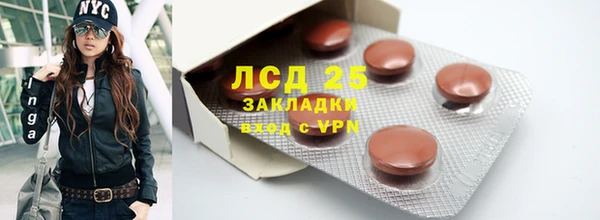 ПСИЛОЦИБИНОВЫЕ ГРИБЫ Иннополис