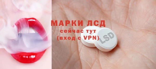 мдпв Инта