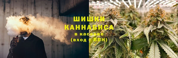 мдпв Инта