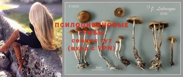 мяу мяу кристалл Инсар